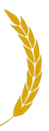 right leaf